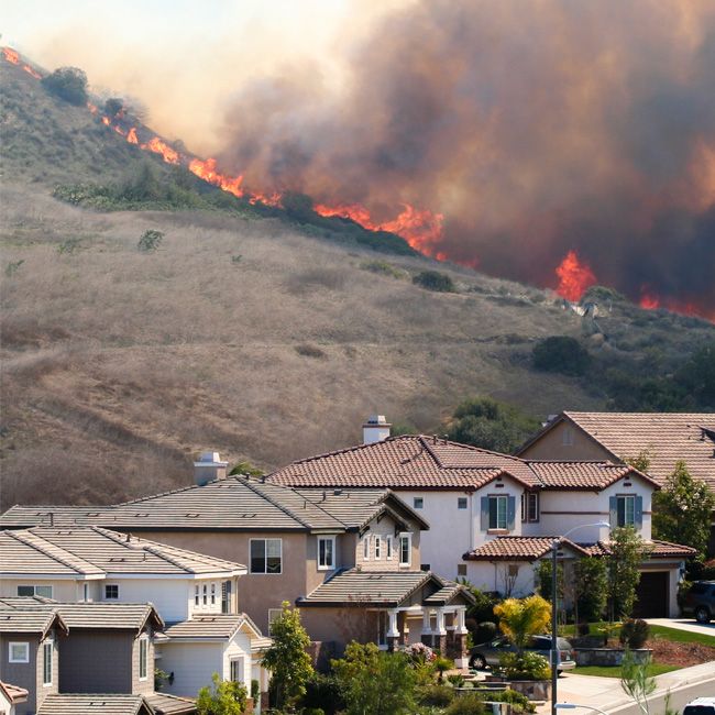 Ca Wildfire 2025 650 X 650